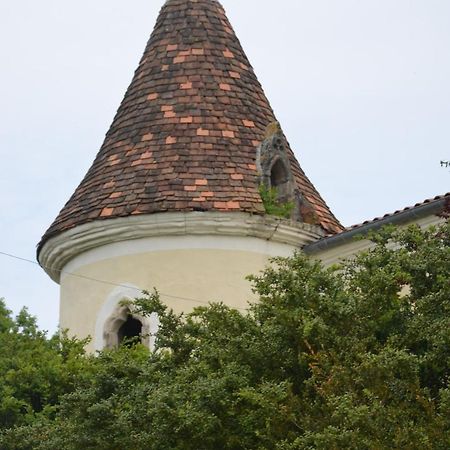 Chambres D'Hotes Du Chateau De Saint Sulpice La Sauvetat-sur-Lède Kültér fotó