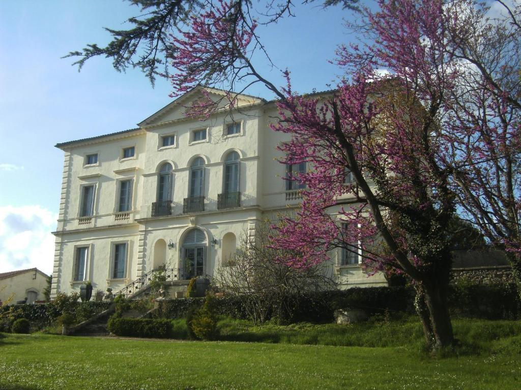 Chambres D'Hotes Du Chateau De Saint Sulpice La Sauvetat-sur-Lède Kültér fotó