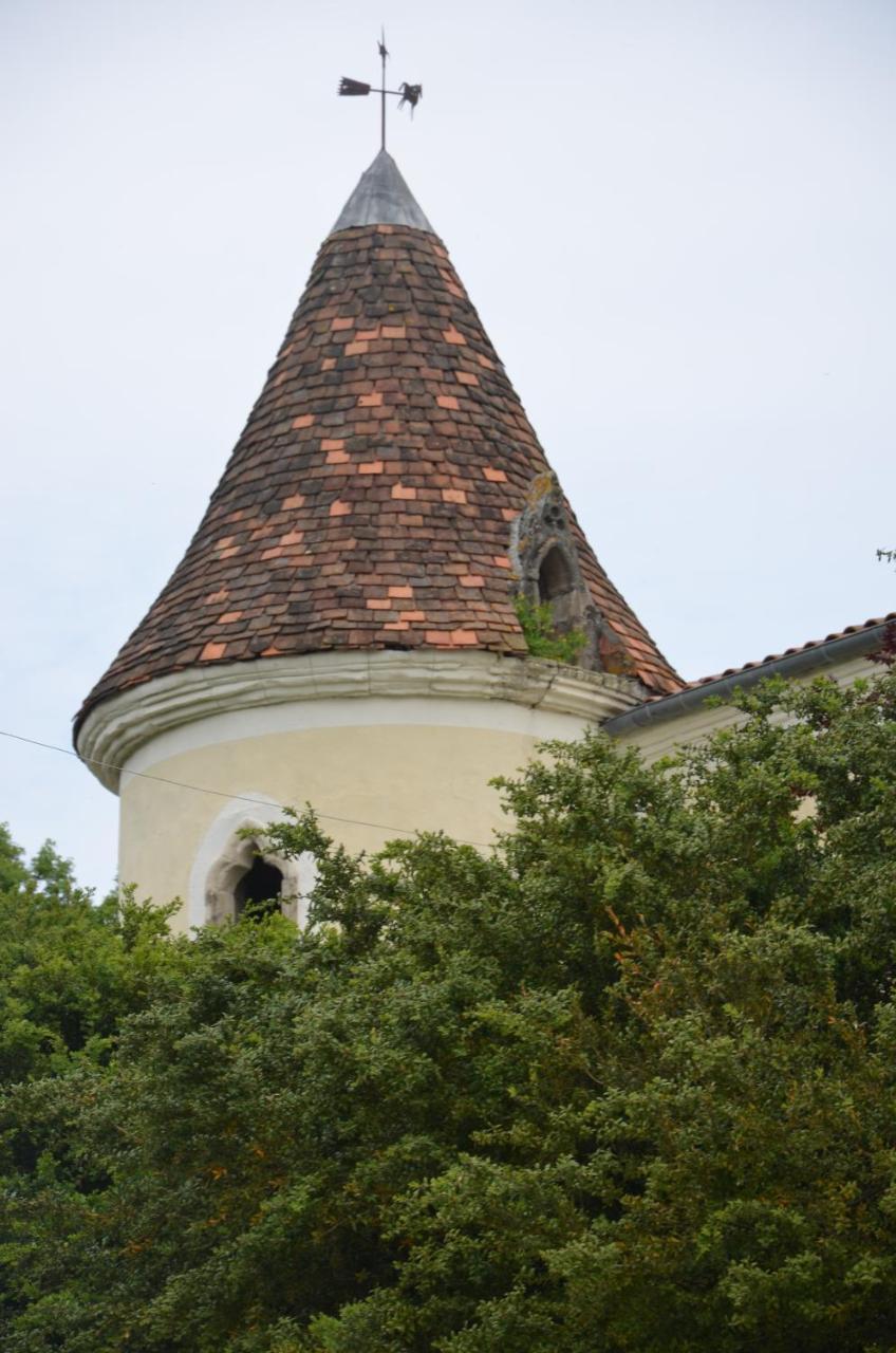 Chambres D'Hotes Du Chateau De Saint Sulpice La Sauvetat-sur-Lède Kültér fotó